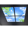 LED Panel Sky Scene Ceiling Light 600 x 600 (4 set) Birds, Clouds, Sun, SKY03F