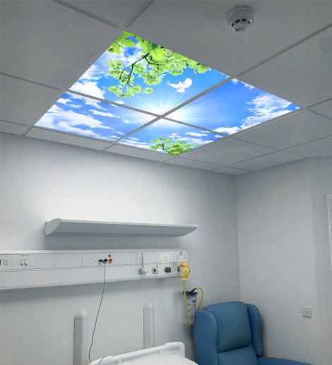 LED Panel Sky Scene Ceiling Light 600 x 600 (4 set) Birds, Clouds, Sun, SKY03F