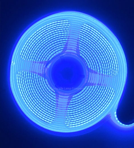 12W LED Tape Strip Light IP65 Continuous COB Illumination 5m 12V Blue - PanelHut Free Delivery on all orders