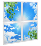 LED Panel Sky Scene Ceiling Light 600 x 600 (4 set) Birds, Clouds, Sun, SKY03F