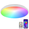 24w WiFi Smart Ceiling Light Round LED RGB App and Remote Control Dimmable WF03