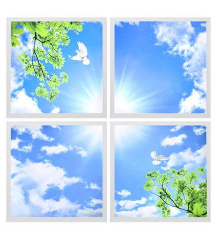 LED Panel Sky Scene Ceiling Light 600 x 600 (4 set) Birds, Clouds, Sun, SKY03F - PanelHut Free Delivery on all orders