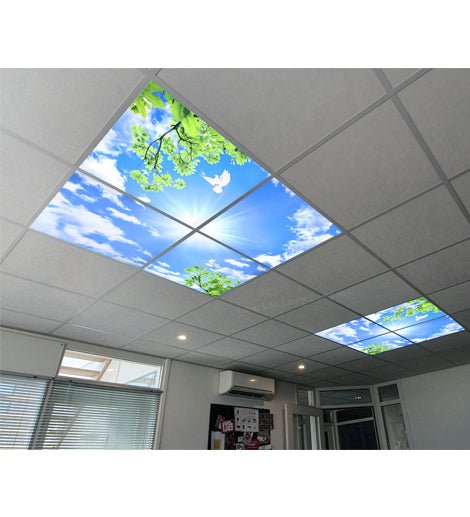 LED Panel Sky Scene Ceiling Light 600 x 600 (4 set) Birds, Clouds, Sun, SKY03F - PanelHut Free Delivery on all orders