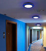 Vibrant blue 247mm LED panel for residential feature lighting