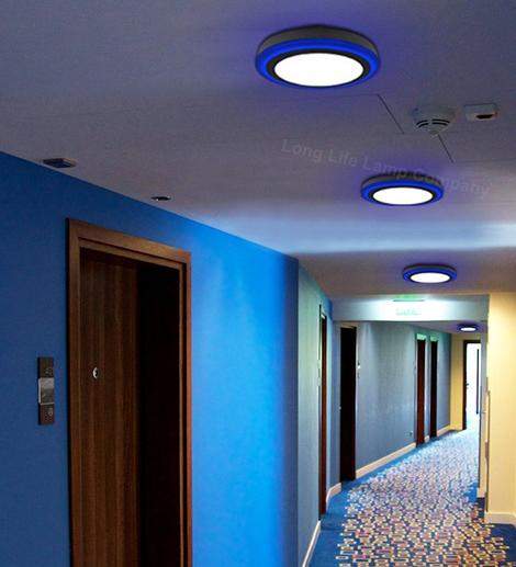 Vibrant blue 247mm LED panel for residential feature lighting