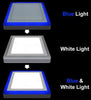 18W decorative surface mount LED panel in blue