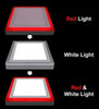 18w Surface Mount Ceiling LED Square Panel Dual Colour Red and White 245 x 245 - PanelHut Free Delivery on all orders
