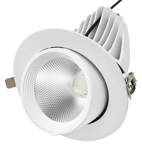 LED Downlight Adjustable Recessed Commercial Lighting 30w High Brightness CDA01-A