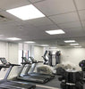 48w Recessed Ceiling LED Panel 6500K Pure White 600 x 600 PMMA - PanelHut Free Delivery on all orders