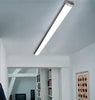 60w 5 feet LED Ceiling Batten Light Ultra Slim Fitting 6000k - PanelHut Free Delivery on all orders