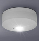 LED Emergency Light Ceiling Mounted Maintained/Non Maintained EML05D