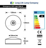 LED Emergency Light Ceiling Mounted Maintained/Non Maintained EML05D