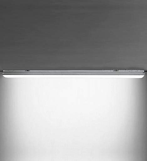 20w 4 feet LED Ceiling Batten Light Triproof Fitting IP66 6500K